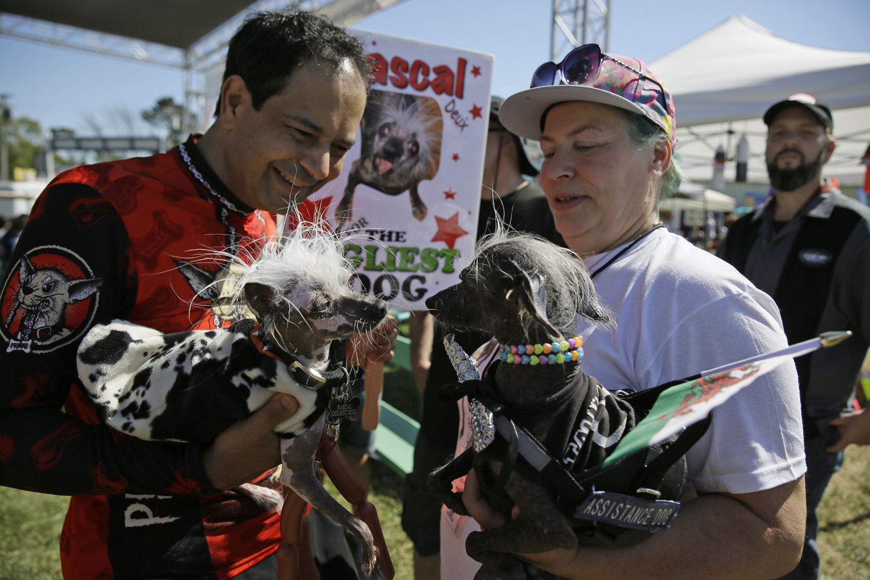 Worlds Ugliest Dog